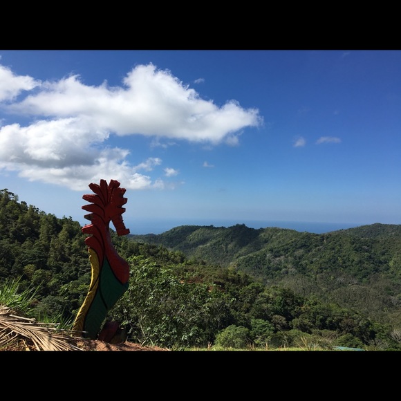 Meet Your Posher, Rose! Hi Fellow Poshers! 😉 - Picture 2 of 5